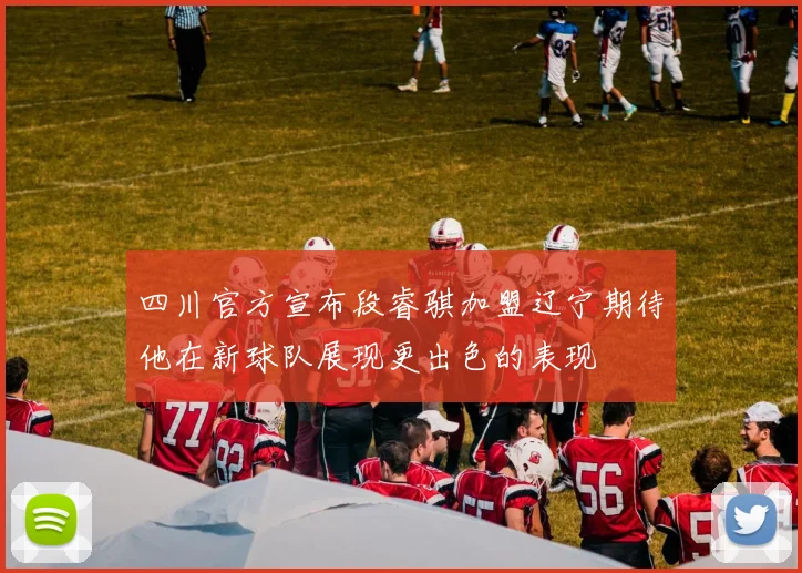 四川官方宣布段睿骐加盟辽宁期待他在新球队展现更出色的表现